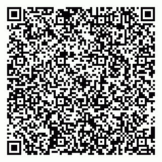 vCard 79588879345