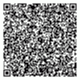 vCard 79588879381