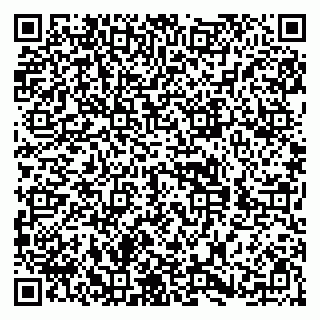 vCard 79588879385