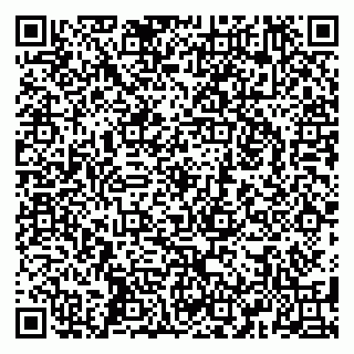 vCard 79588879387