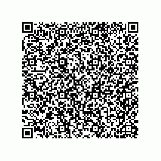 vCard 79600000331