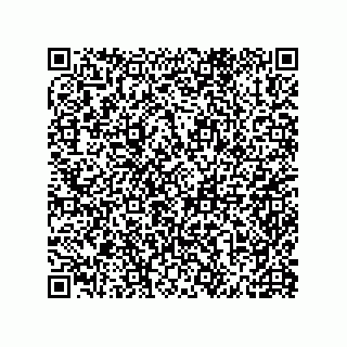 vCard 79600000511