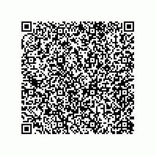 vCard 79600000528