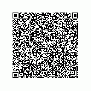 vCard 79600000739