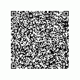 vCard 79600000933
