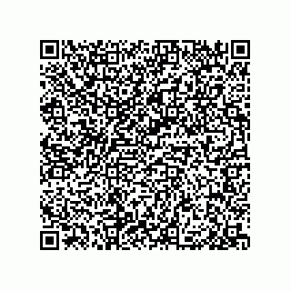 vCard 79600002131