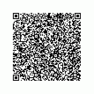 vCard 79600002533