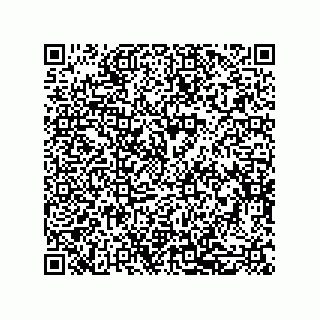 vCard 79600002941