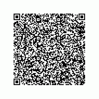 vCard 79600002979