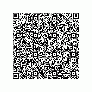 vCard 79600002993