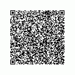 vCard 79600003133