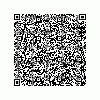 vCard 79600003301