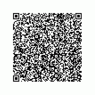vCard 79600003303
