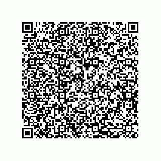 vCard 79600003335