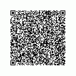 vCard 79600004013