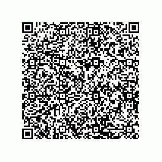 vCard 79600004131