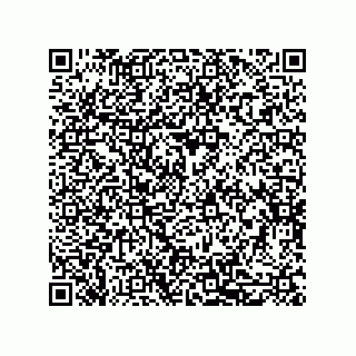 vCard 79600008029