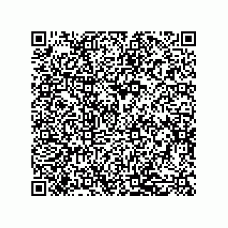 vCard 79600010133