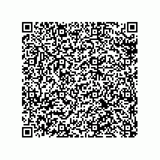 vCard 79600010337