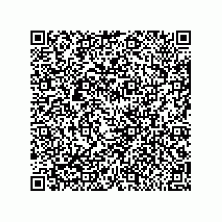 vCard 79600010539