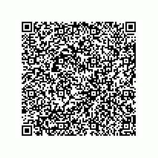 vCard 79600011039