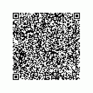 vCard 79600012500