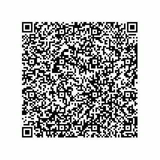 vCard 79600012539