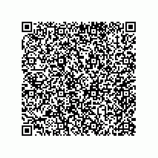 vCard 79600012741