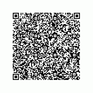 vCard 79600013031