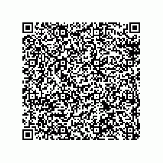 vCard 79600013151