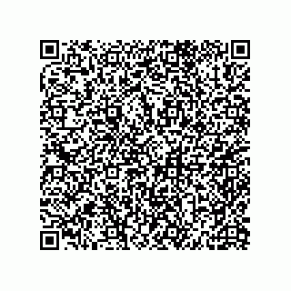 vCard 79600013303