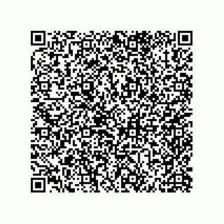 vCard 79600013322
