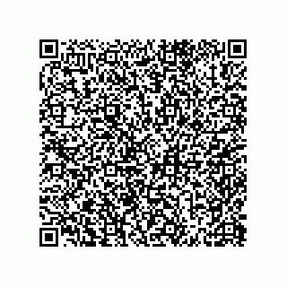 vCard 79600013339
