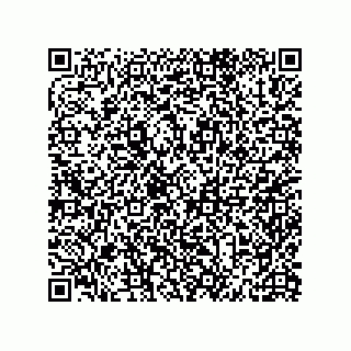 vCard 79600015503