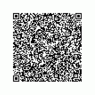 vCard 79600015539