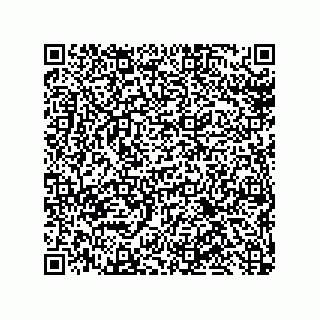 vCard 79600017303