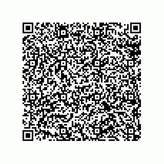 vCard 79600017633