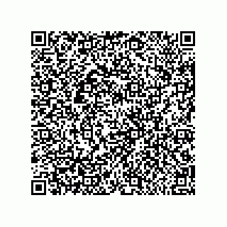 vCard 79600019539