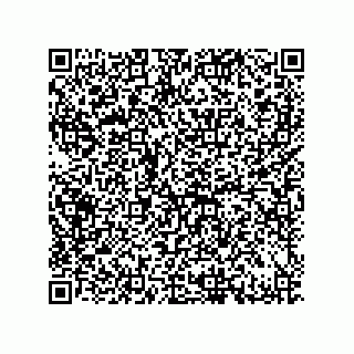 vCard 79600020299