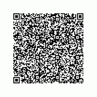 vCard 79600020513