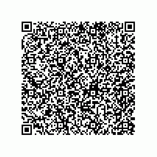 vCard 79600021311