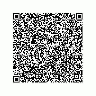 vCard 79600021539