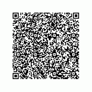 vCard 79600027873
