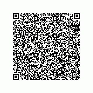 vCard 79600029131