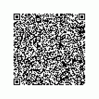 vCard 79600029133