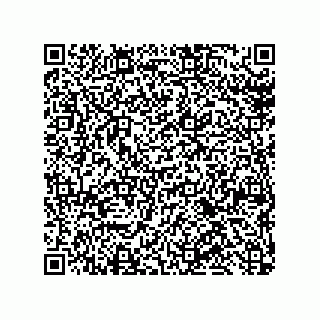 vCard 79600029303