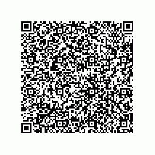 vCard 79600030039