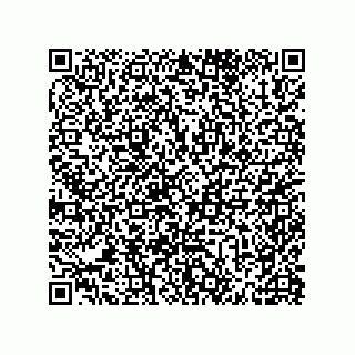 vCard 79600031041