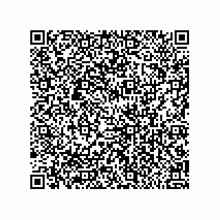 vCard 79600031100