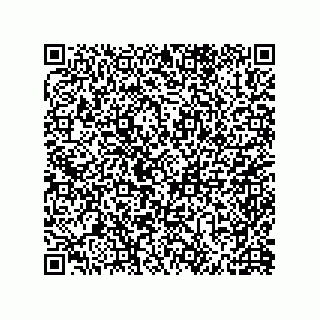 vCard 79600031330
